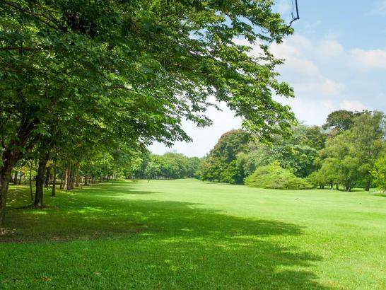 Vous souhaitez vendre votre terrain ? Grisel Lotissement saura vous conseiller.